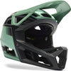 Casco integrale Fox Head Proframe Mips RS