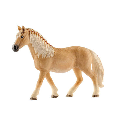 Haflinger Mare 13812