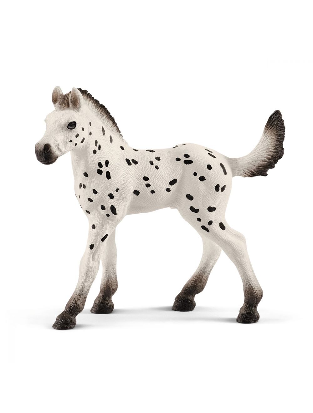 Horse Knabestrupper puledro 13890