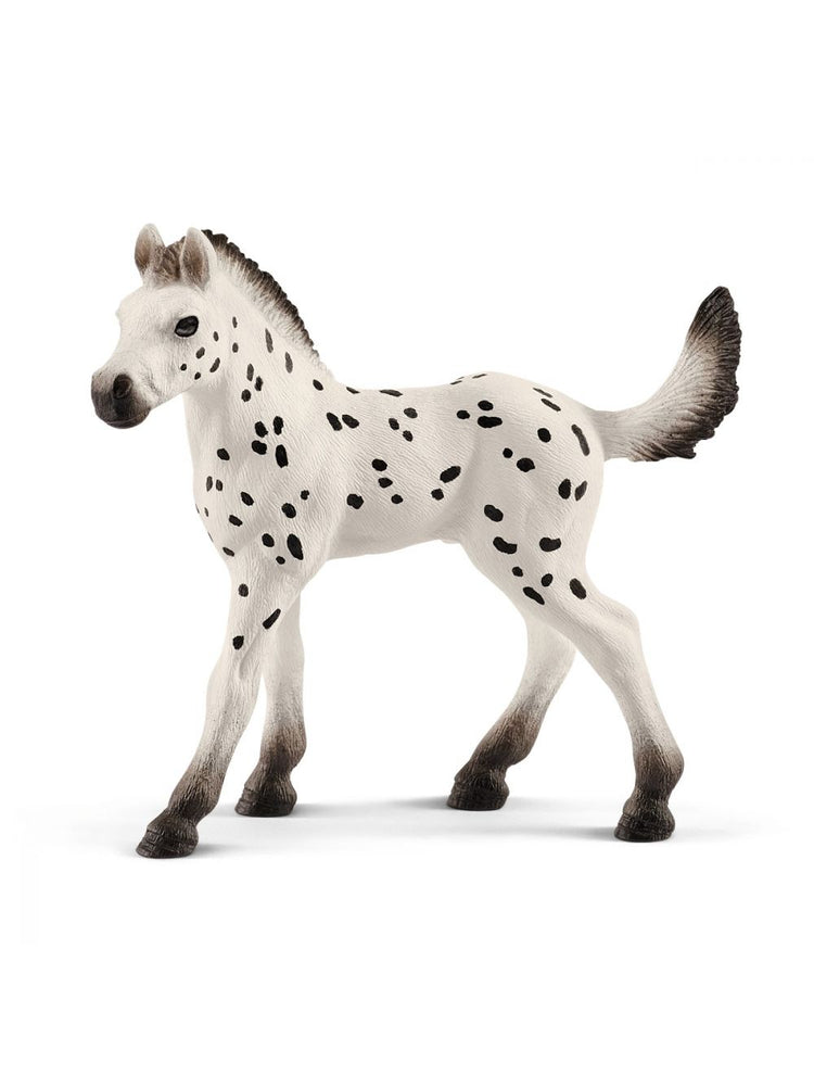 Horse Knabestrupper puledro 13890