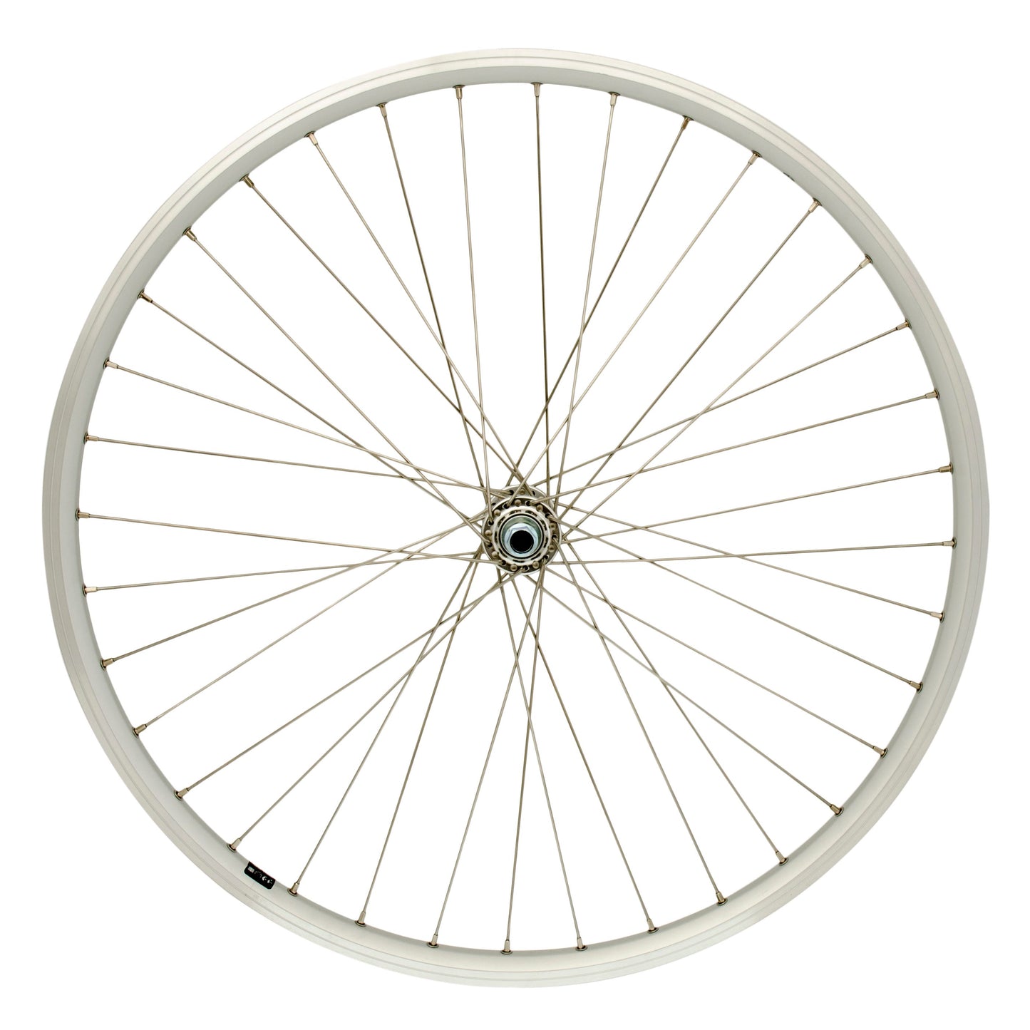 Cordo ruota anteriore 26 19-559 asse massiccio raggi in acciaio inox argento