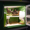 Pollaio in plastica Mobilecoop