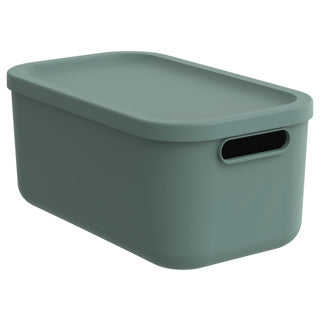 Rotho Decoration StorageBox Albula Light 12 L Migretoe verde