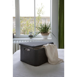 Curver Curver storage box style with lid L 30 L metallic silver colored