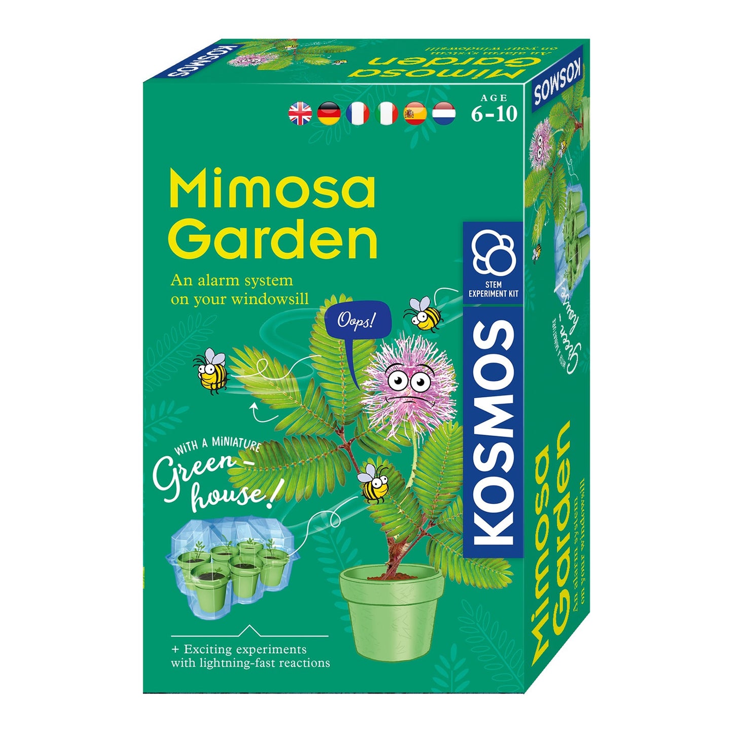 Cultivo de plantas de cosmos mimosa