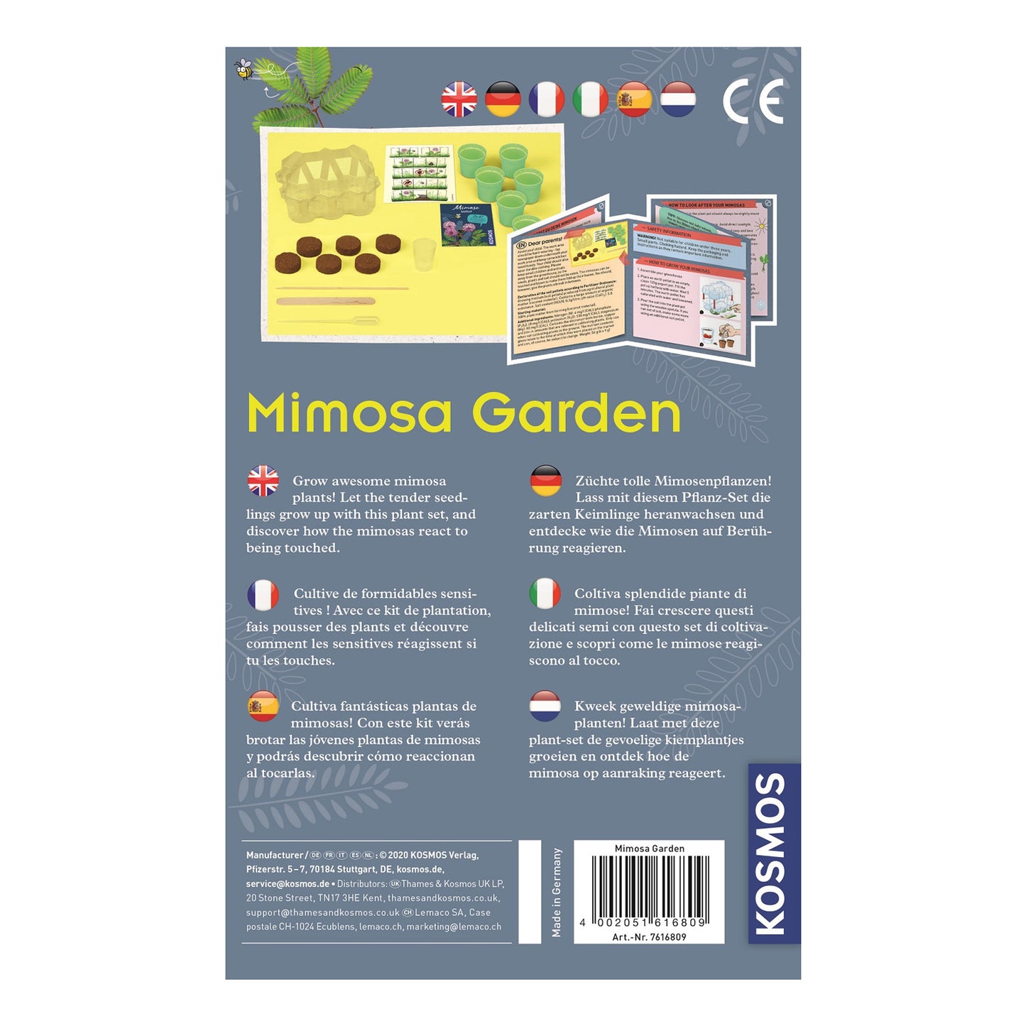 Cultivo de plantas de cosmos mimosa