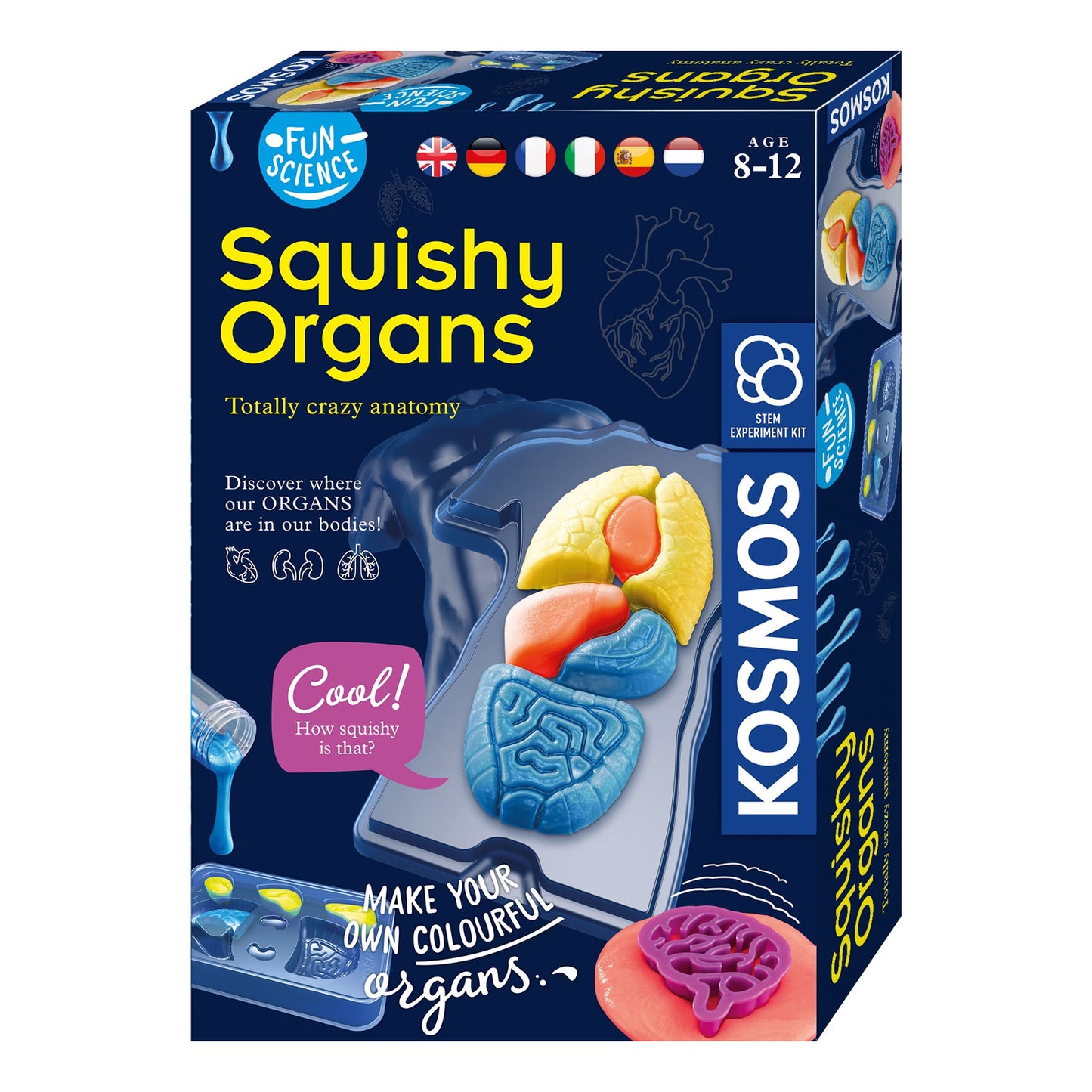 Fare cosmos squishy organi