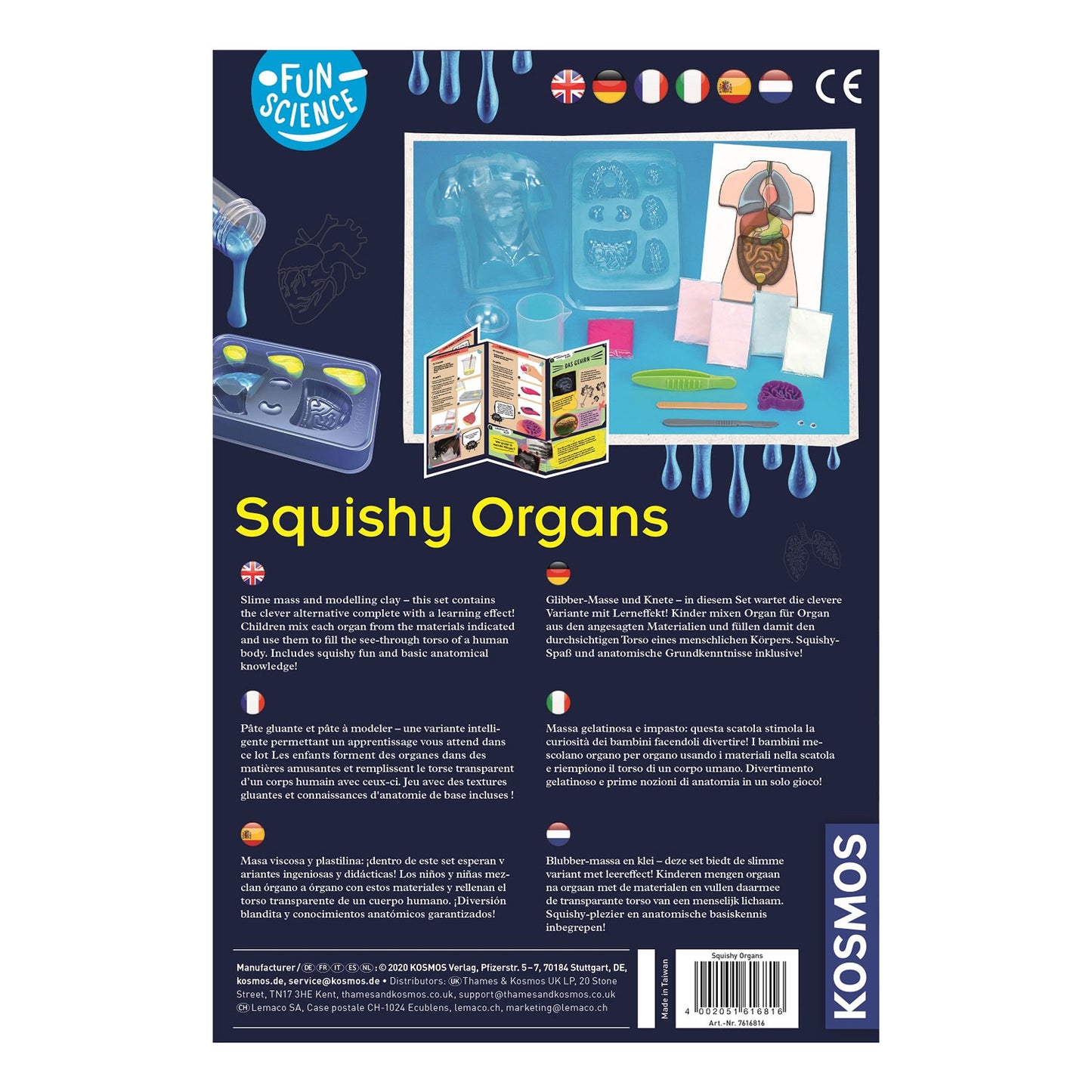 Fare cosmos squishy organi