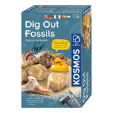 Cut cosmos fossils - afbeelding 1
