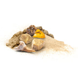 Cut cosmos fossils - afbeelding 3