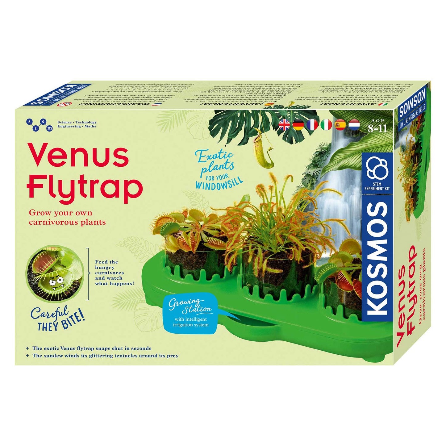 Kosmos Experiment ha fissato Venus FlyTrap