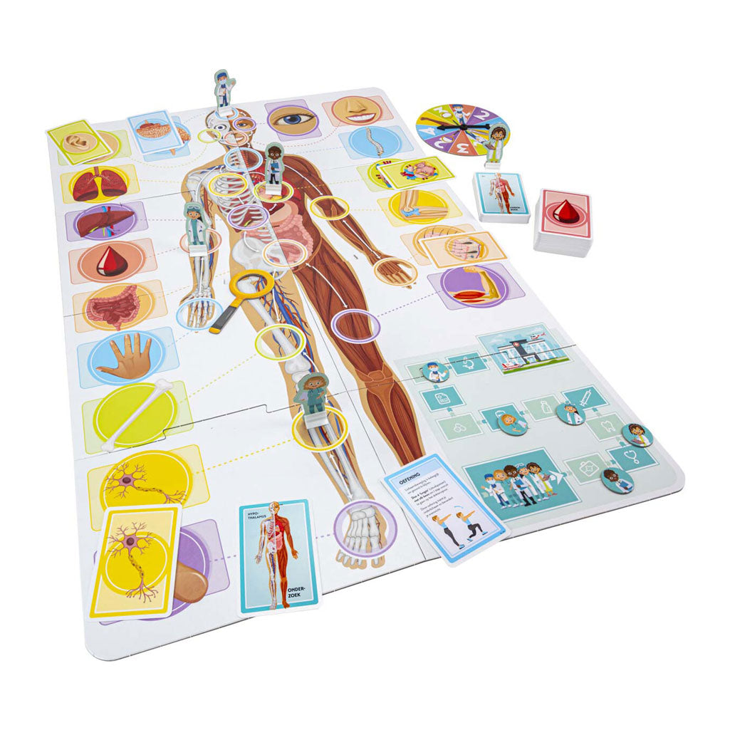 Selecta imparo: il corpo umano