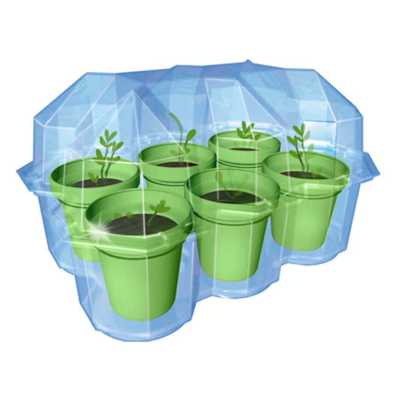 Set de juego de jardín selecta cosmos mimosa