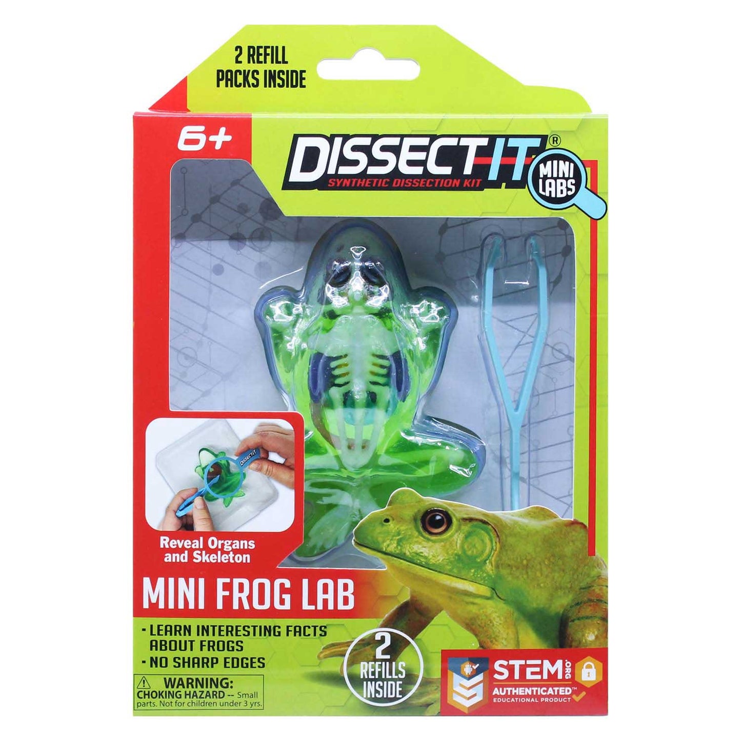 Disect-it disecciona una rana con lupa