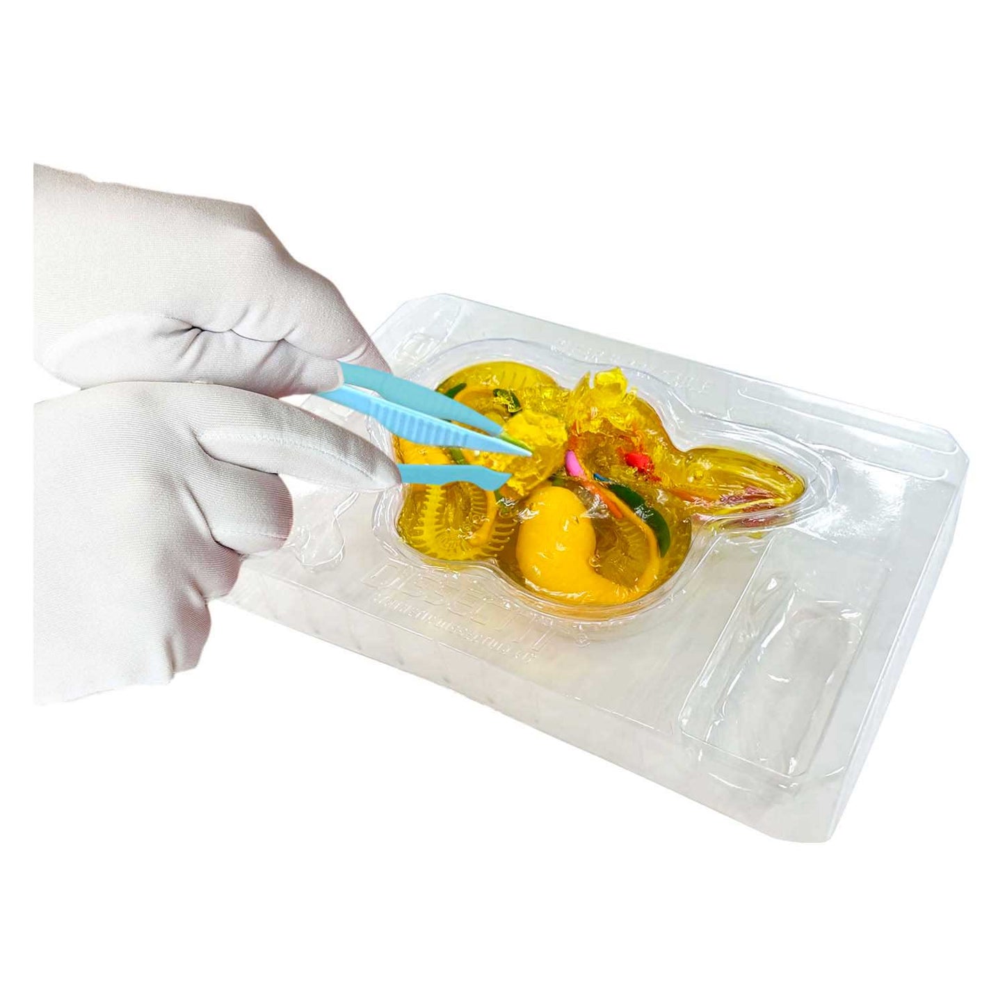 Dissect-seziona una mega confezione regalo di serpente a sonagli