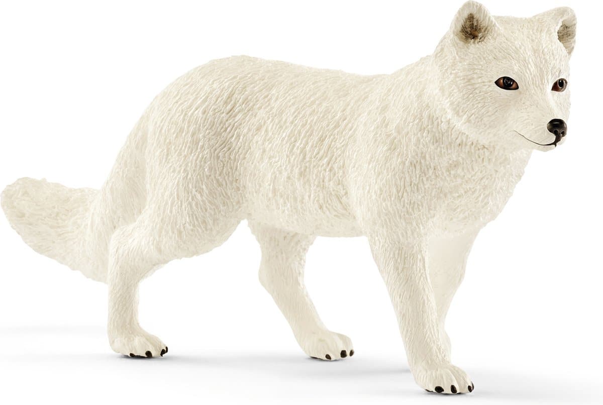 Schleich safari volpe artica 14805