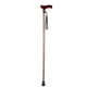 Vitility Walking Stick Plegado de bronce