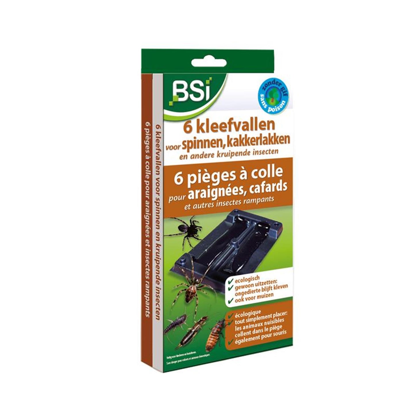 Trappole adesive per ragni Bsi 6