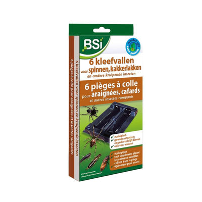 Trappole adesive per ragni Bsi 6