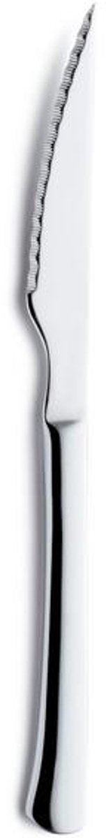 Amefa catering chuletero steak knife 6.0 mm