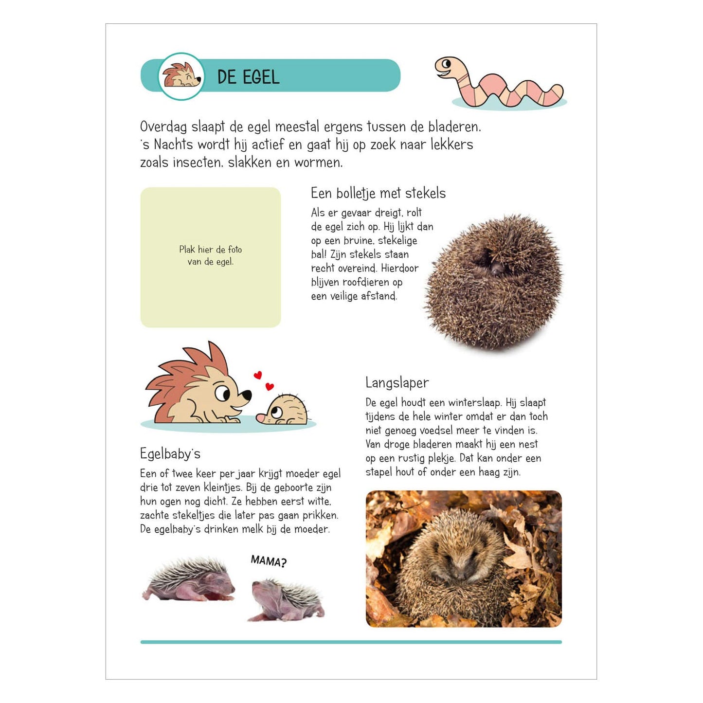 Libro adesivo - Animali in casa e giardino