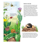 Deltas los animales que rodean el libro de cartón (2-4 y.) - afbeelding 2