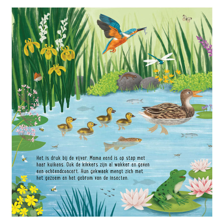 Delta il mio primo libro di ricerca animali in acqua