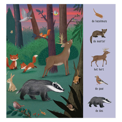 Delta il mio primo libro di ricerca animali da tutto il mondo