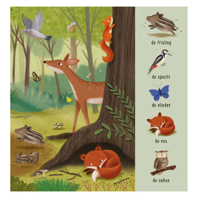 Delta il mio primo libro di ricerca animali nella foresta