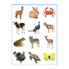 Libro para colorear y pegatinas de animales dulces deltas