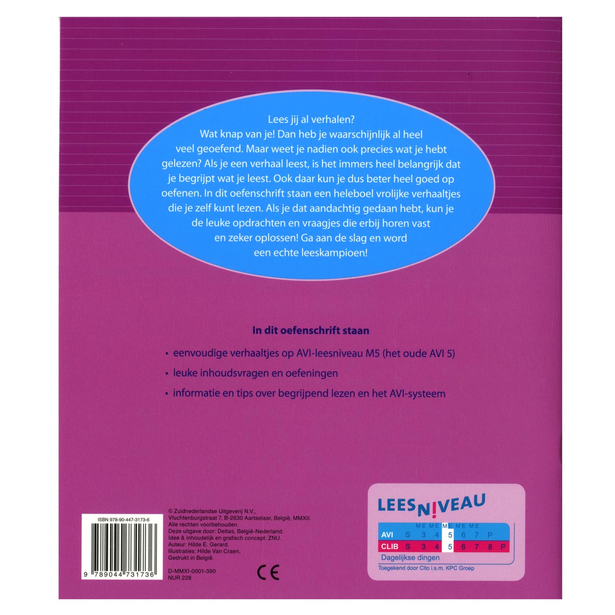Esercizio Comprensione della lettura Avi M5