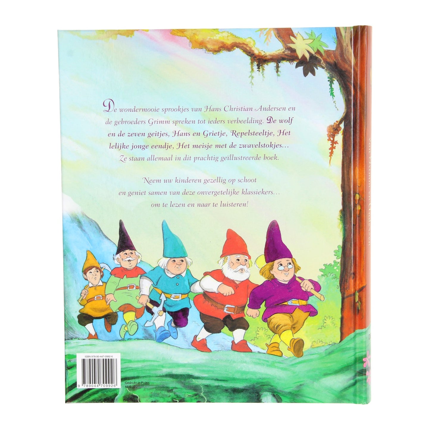 Il meraviglioso mondo delle fiabe di Grimm e Andersen