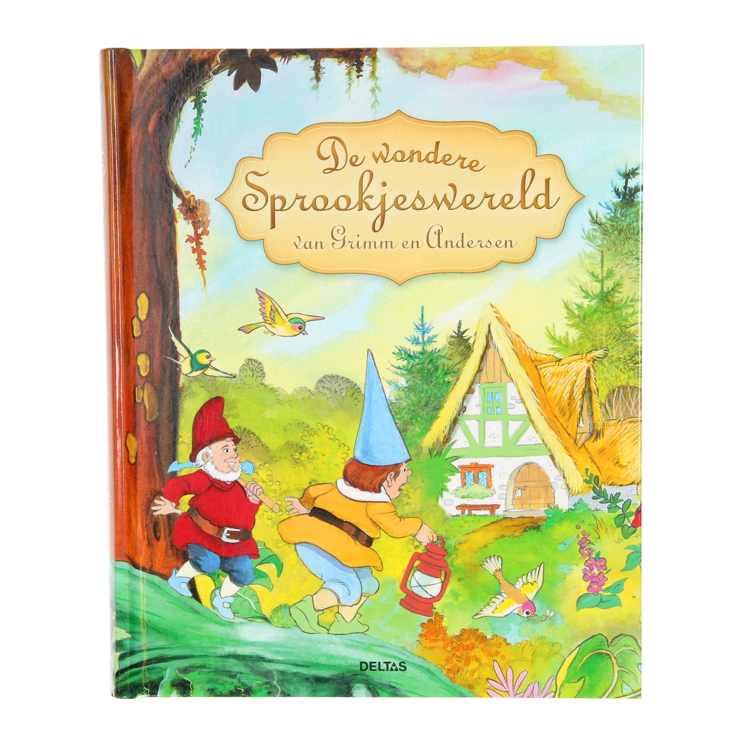 Il meraviglioso mondo delle fiabe di Grimm e Andersen