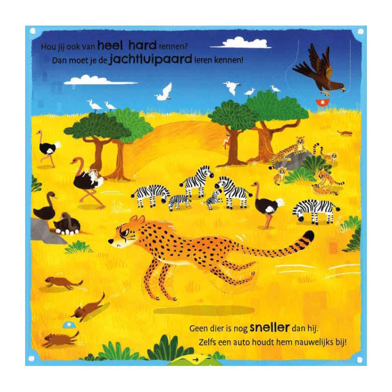 Delta è il mio primo libro sugli animali