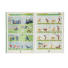 Vince l'Olanda The Champions 16 Comic Book