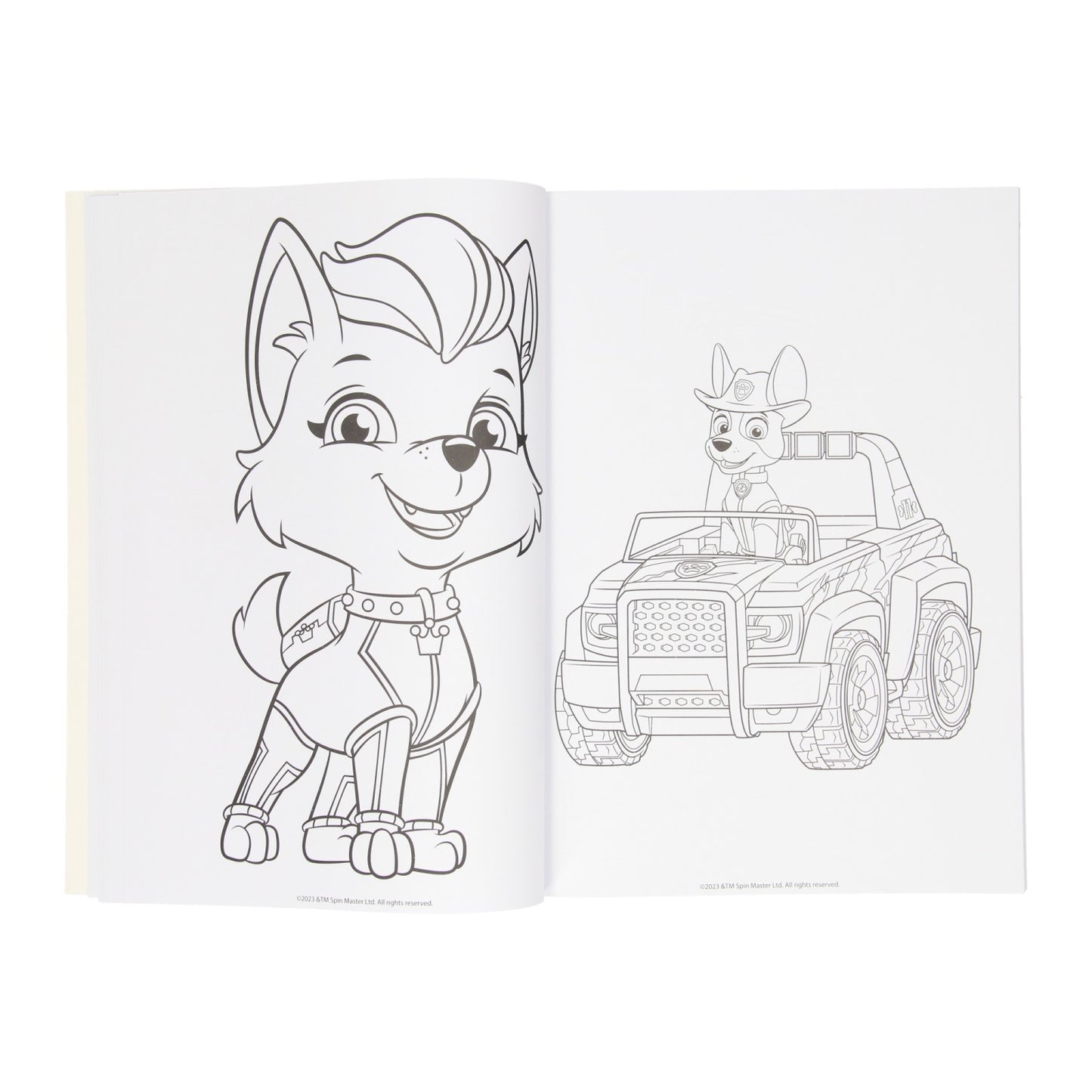 Wins holland kleurboek paw patrol, 128blz.