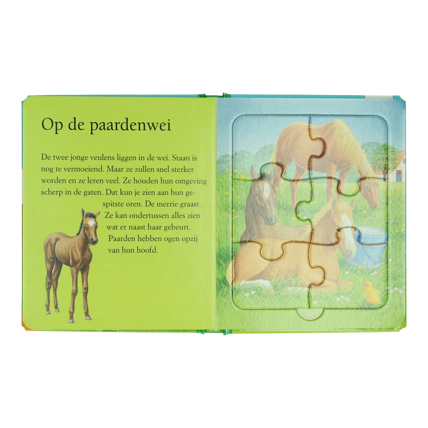 Vince la fattoria dei libri puzzle Olanda - 5 puzzle