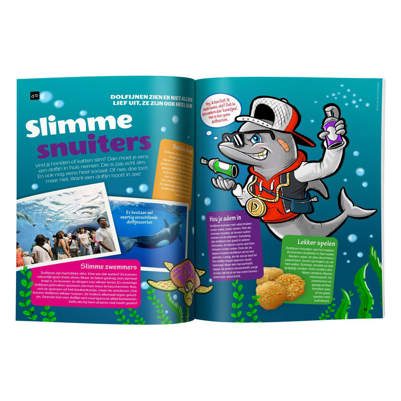 Boek specials nederland bv quest junior vakantieboek