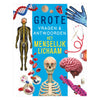 Rebo editori Il corpo umano: risposte a grandi domande