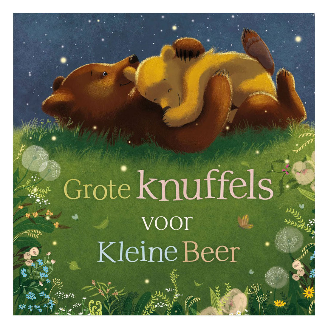 Libro de peluches grandes para osito | 2 piezas