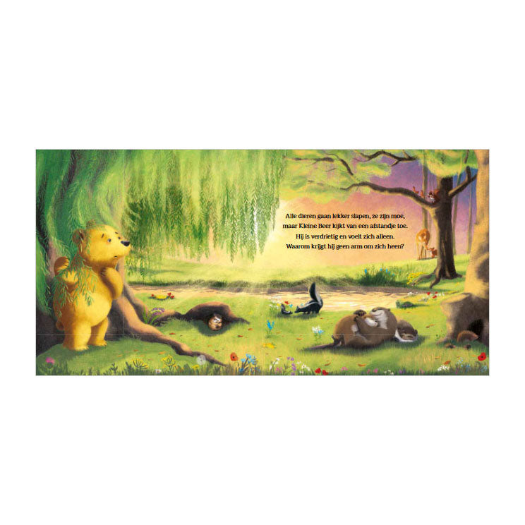 Libro de peluches grandes para osito | 2 piezas
