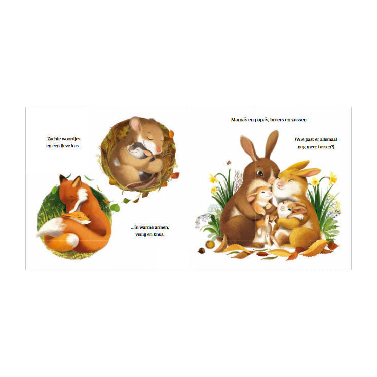 Libro de peluches grandes para osito | 2 piezas
