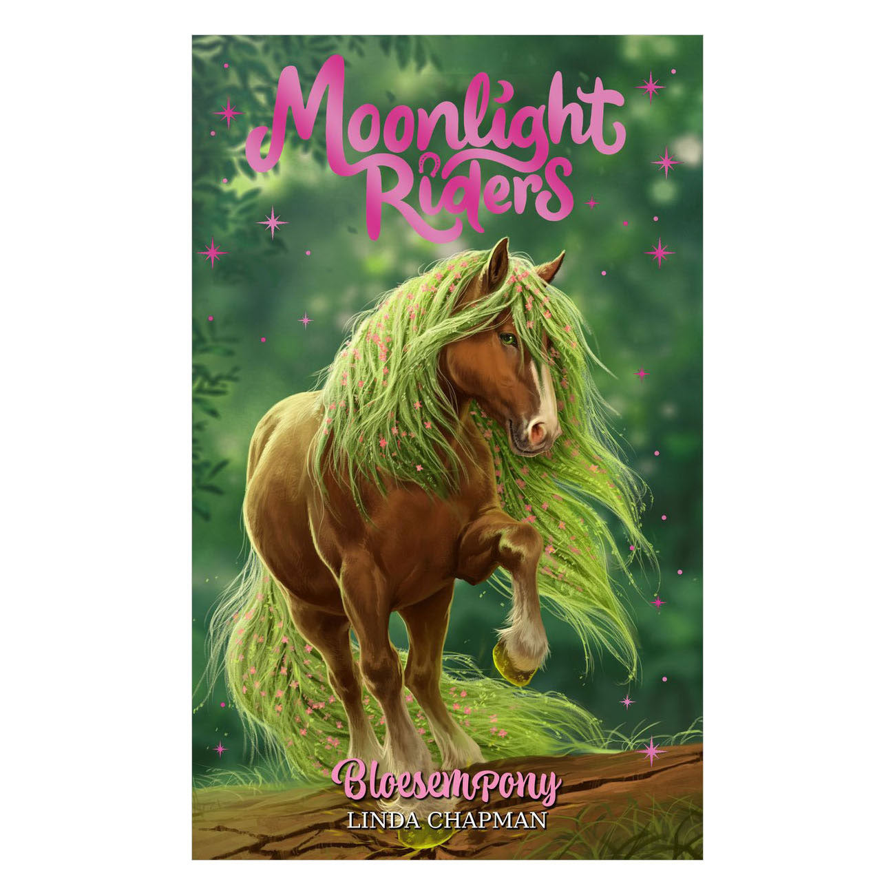 Editori Rebo Moonlight Riders 3 - Blossom Pony
