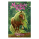 Editori Rebo Moonlight Riders 3 - Blossom Pony