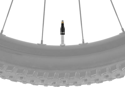 Adaptador de válvula de flujo turbo Topeak