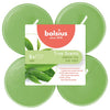 Bolsius Maxilichten True profumi tè verde 8 pezzi 8 ore