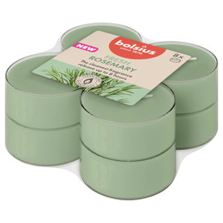 Bolsius maxilichten clear cup 8u true scents rosemary | 6 stuks