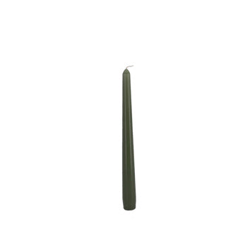 Candele gotiche Bolsius 245 24 Box 4 Fresh Olive