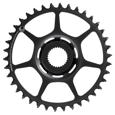 Anillo de la cadena SRAM F.Bosch 38t. Acero negro