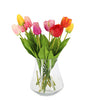 | 48 stuks